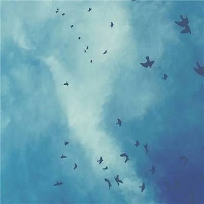 幻灵圣域手游下载