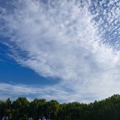 救救大明星游戏(暂未上线)v1.0 安卓最新版